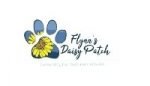 flynn's-daisy-patch