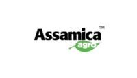 Assamica Agro