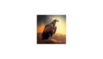 vulture-sports-betting